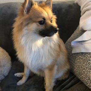 Meet your Posher, Jillian